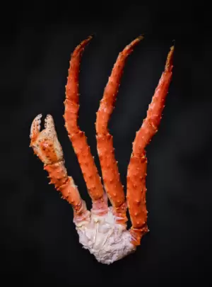 Patas de Cangrejo Real cocido